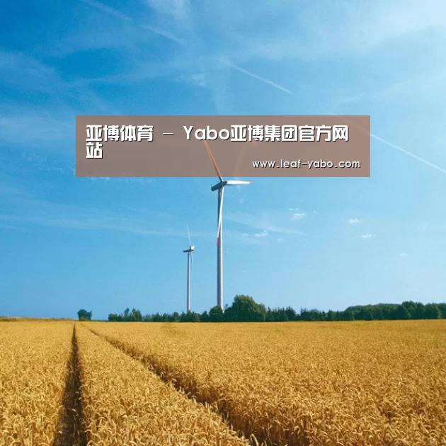 风能