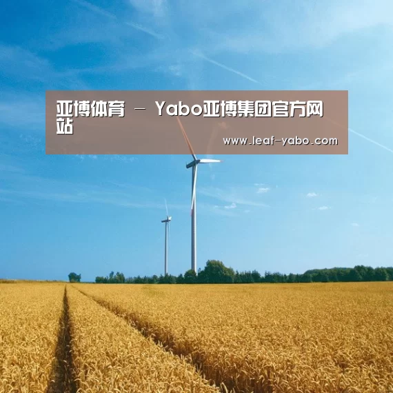 风能