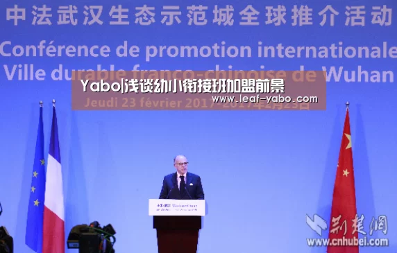 Yabo|浅谈幼小衔接班加盟前景(图4) 亚博体育
