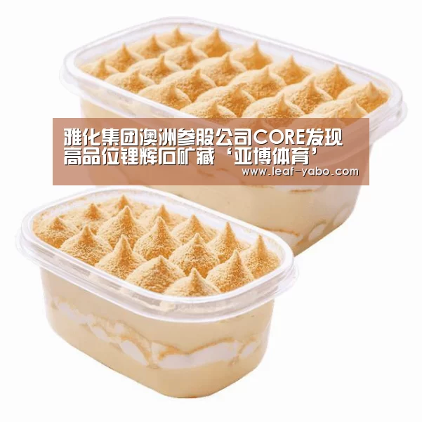 雅化集团澳洲参股公司CORE发现高品位锂辉石矿藏‘亚博体育’(图1) 雅化集团澳洲参股公司CORE发现高品位锂辉石矿藏‘亚博体育’(图1)