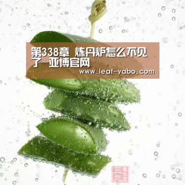 第338章 炼丹炉怎么不见了-亚博官网(图3) 第338章 炼丹炉怎么不见了-亚博官网(图3)