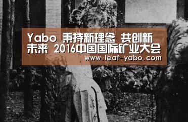 Yabo_秉持新理念 共创新未来 2016中国国际矿业大会召开(图2) 亚博