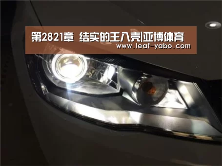 第2821章 结实的王八壳|亚博体育(图3) 亚博官网