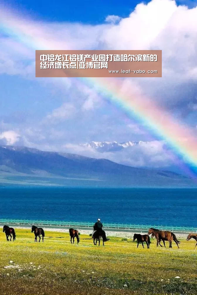 中铝龙江铝镁产业园打造哈尔滨新的经济增长点|亚博官网(图3) 亚博