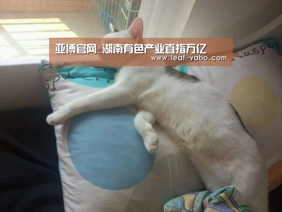 亚博官网_湖南有色产业直指万亿(图2) 亚博