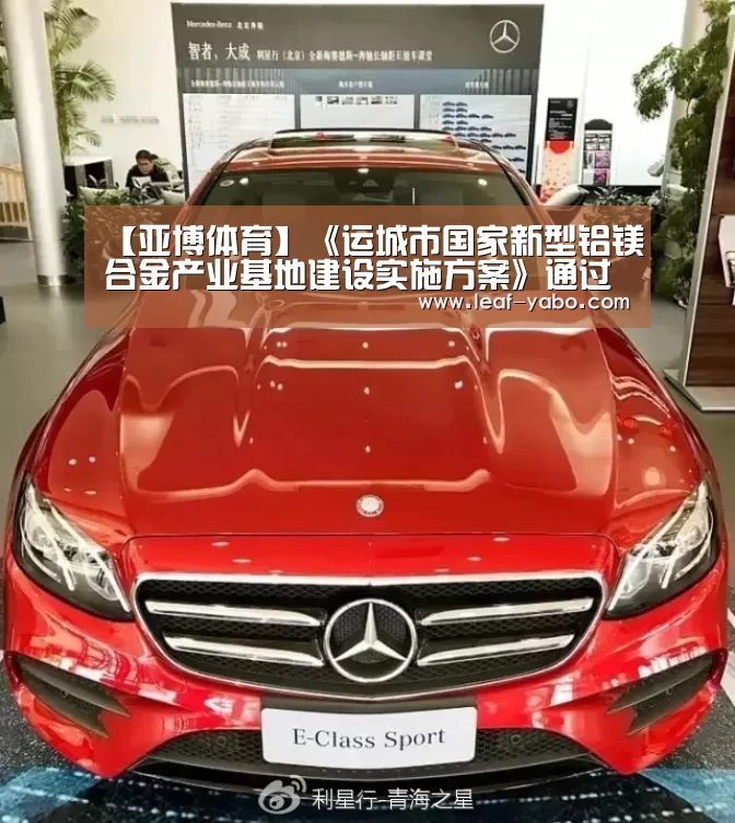 【亚博体育】《运城市国家新型铝镁合金产业基地建设实施方案》通过专家评审(图3) 亚博官网