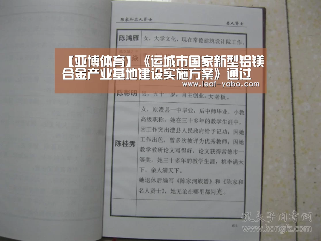 【亚博体育】《运城市国家新型铝镁合金产业基地建设实施方案》通过专家评审(图1) 亚博