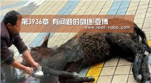 亚博体育