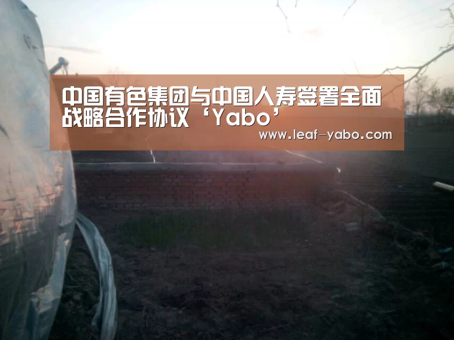 中国有色集团与中国人寿签署全面战略合作协议‘Yabo’(图1) 中国有色集团与中国人寿签署全面战略合作协议‘Yabo’(图1)