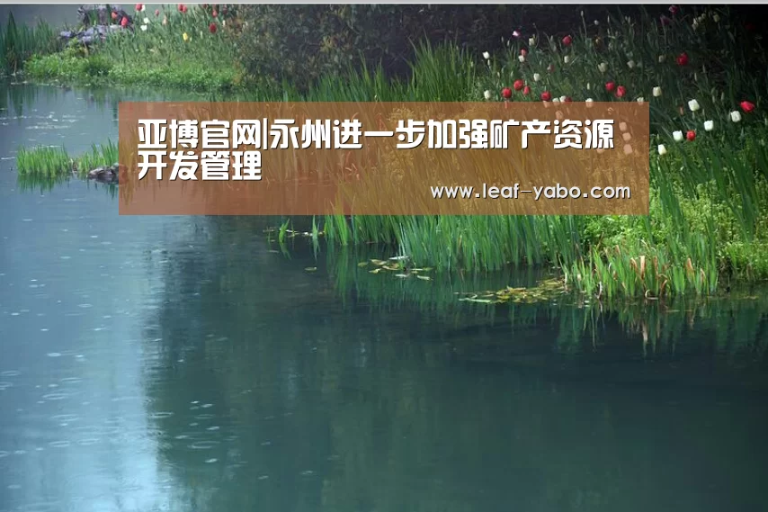 亚博官网|永州进一步加强矿产资源开发管理(图2) 亚博官网|永州进一步加强矿产资源开发管理(图2)