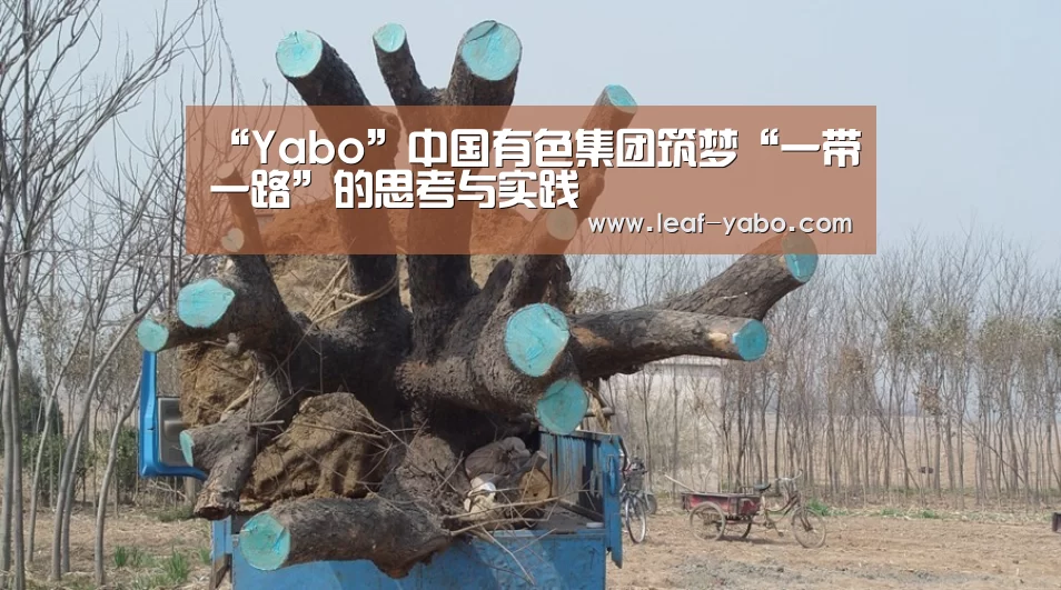 “Yabo”中国有色集团筑梦“一带一路”的思考与实践(图3) 亚博体育