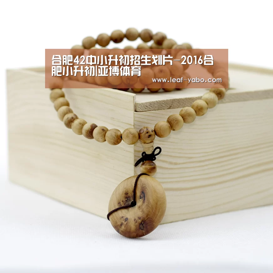 合肥42中小升初招生划片-2016合肥小升初|亚博体育(图2) 亚博