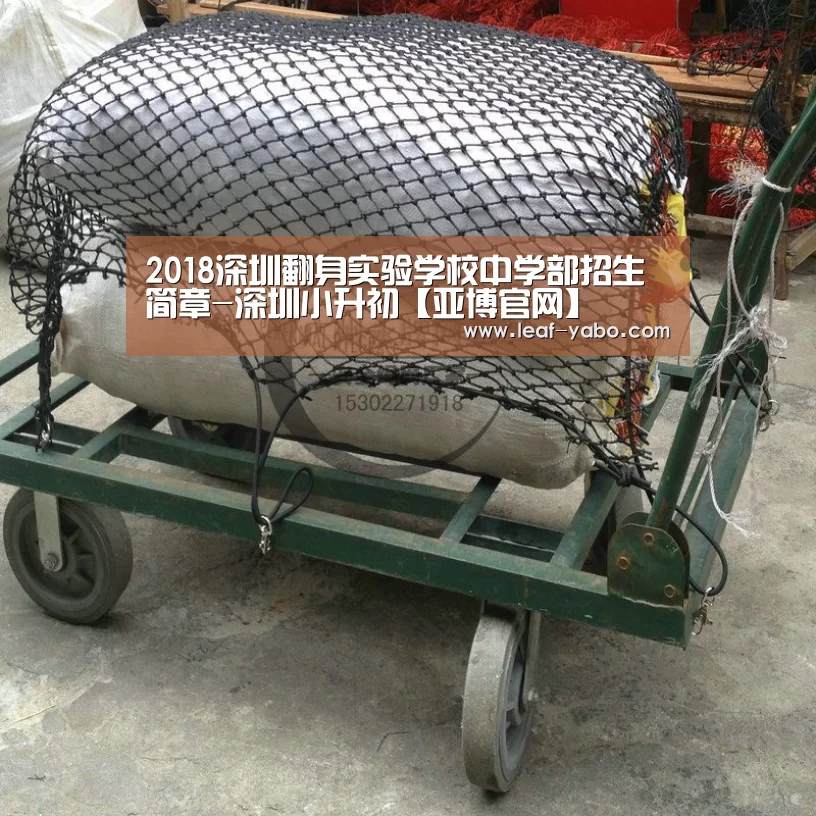 2018深圳翻身实验学校中学部招生简章-深圳小升初【亚博官网】(图2) 亚博体育