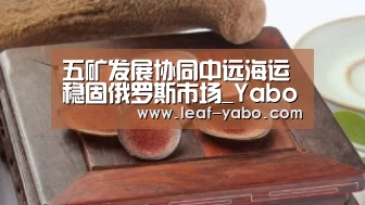 五矿发展协同中远海运稳固俄罗斯市场_Yabo(图2) 亚博体育