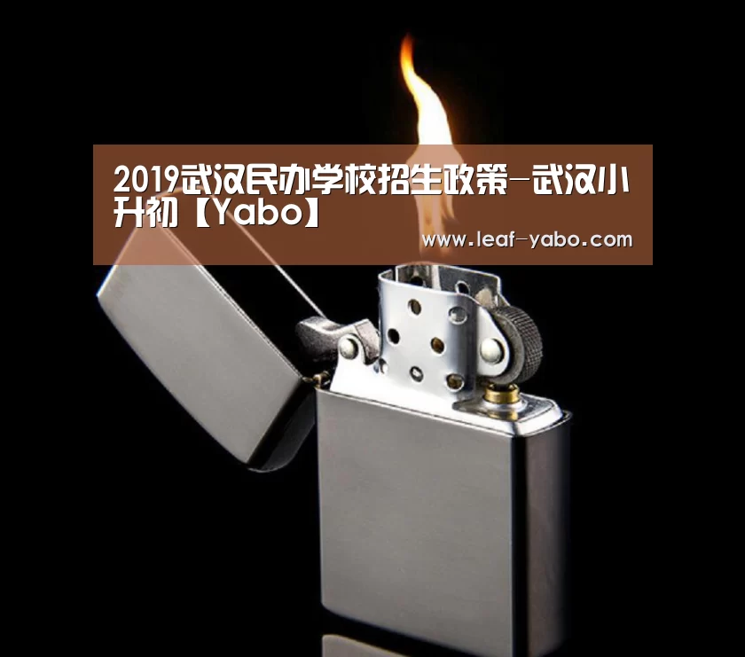 2019武汉民办学校招生政策-武汉小升初【Yabo】(图1) 亚博