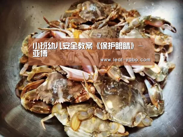 小班幼儿安全教案《保护眼睛》-亚博(图3) 亚博体育