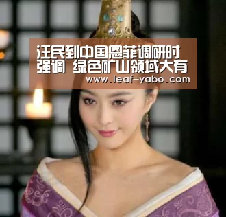 汪民到中国恩菲调研时强调 绿色矿山领域大有可为-亚博体育(图1) 亚博体育