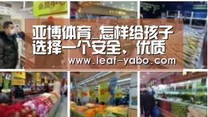 亚博体育_怎样给孩子选择一个安全、优质的幼儿园?(图2) 亚博体育_怎样给孩子选择一个安全、优质的幼儿园?(图2)